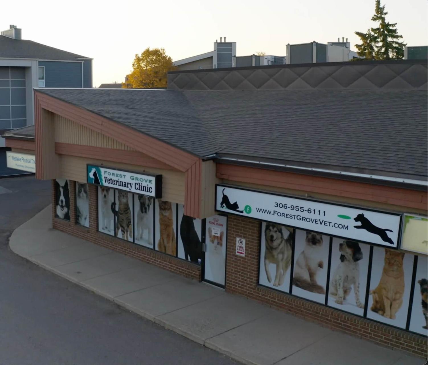 Veterinary hospital in Saskatoon