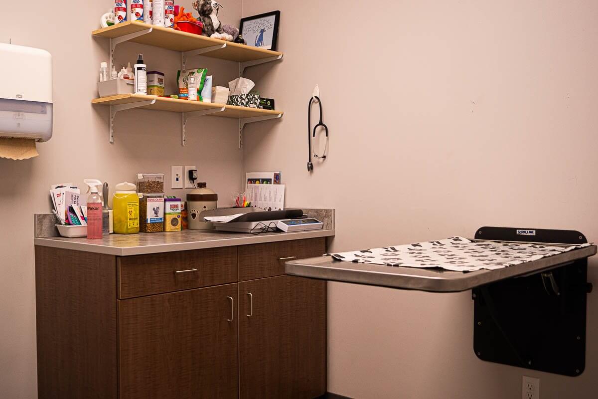 Cat exam room