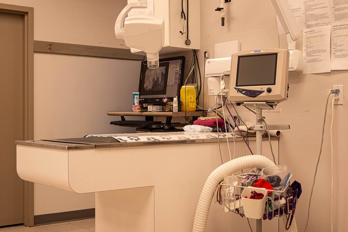 Dental and imaging station