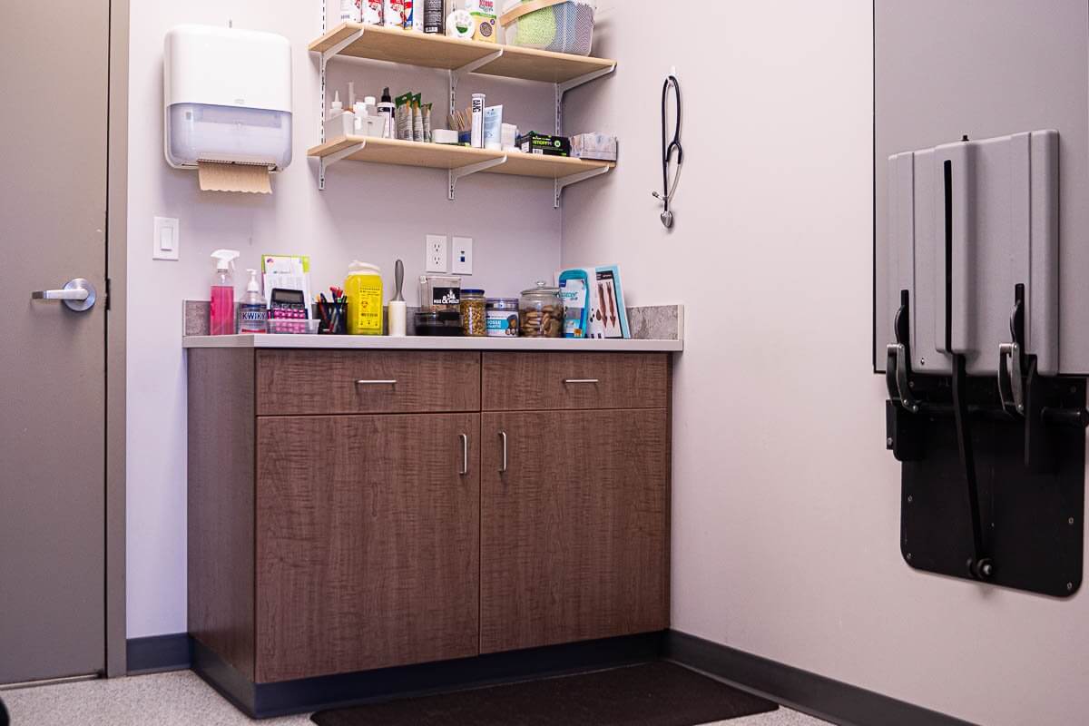Canine exam room