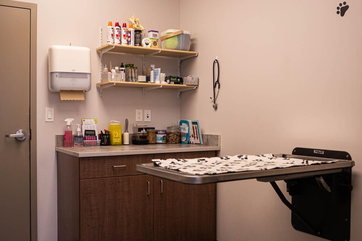 Canine exam room with exam table