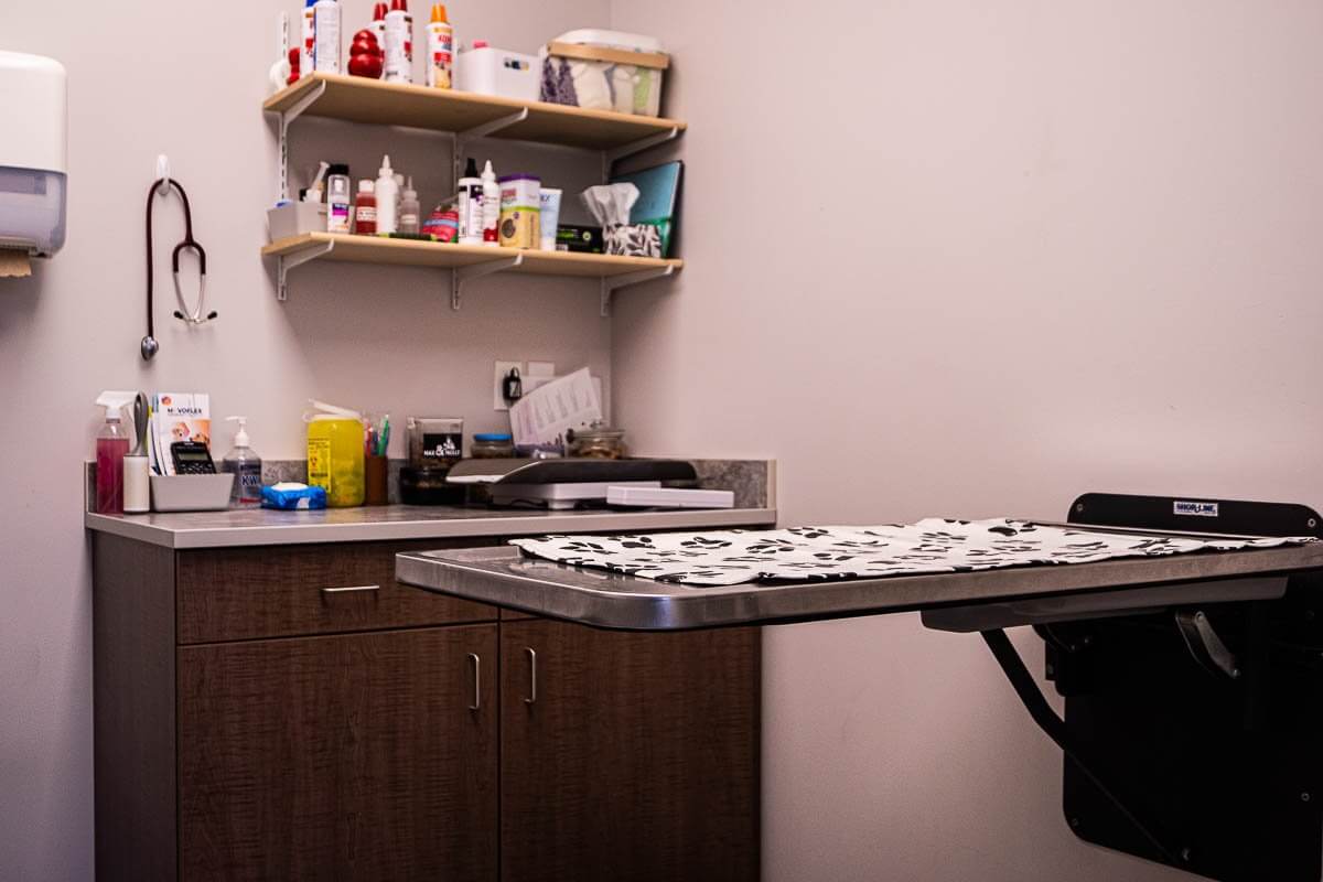 Canine exam room