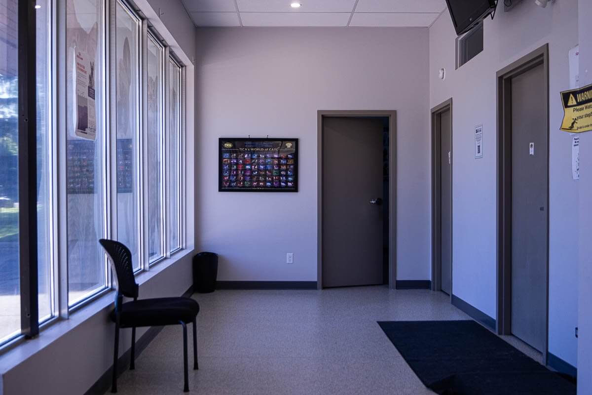 Canine waiting area