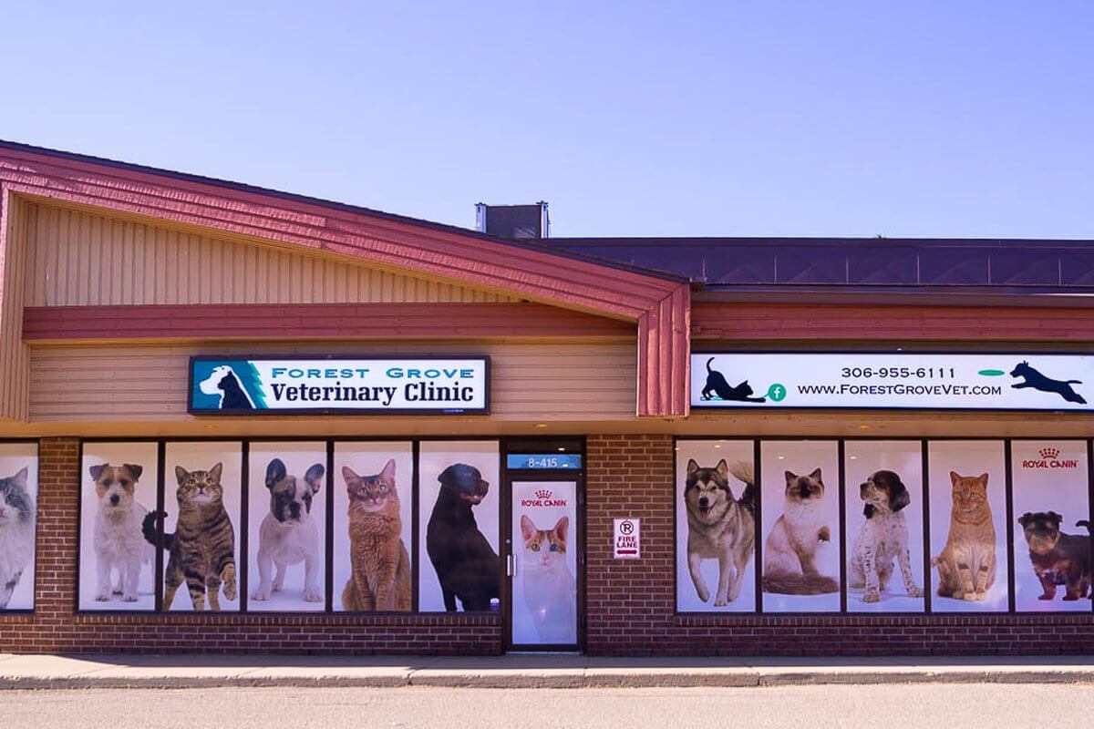 Clinic Exterior