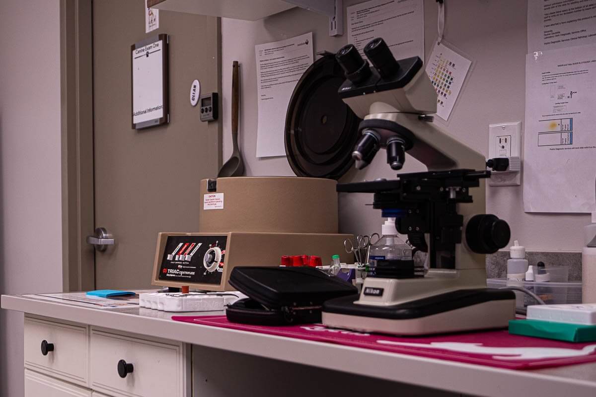 In-house laboratory microscope