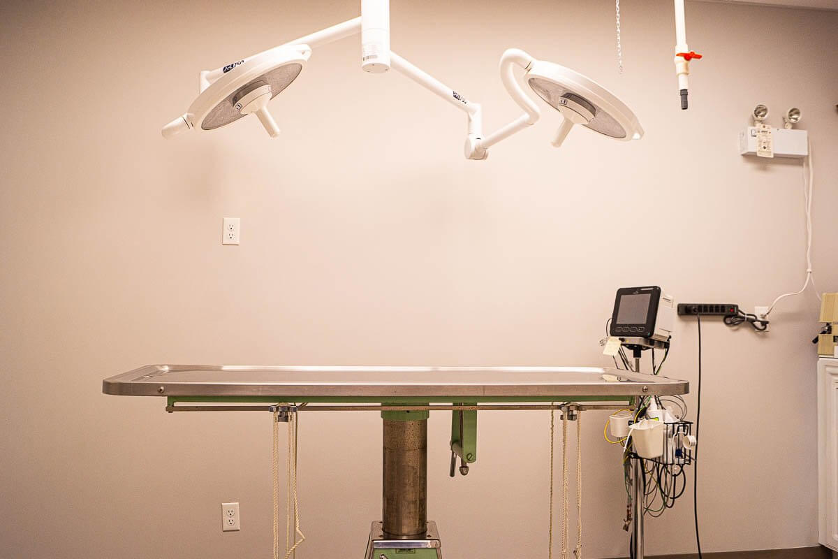 Surgical suite