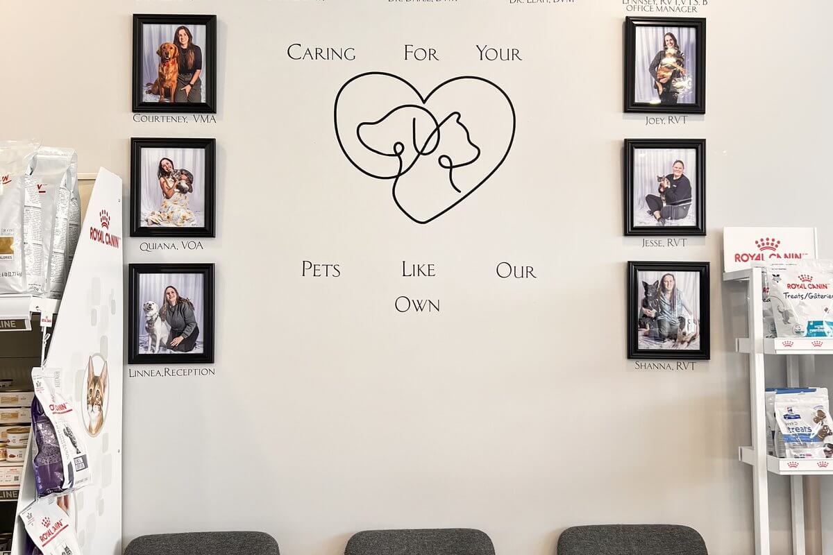 Staff photo wall 2
