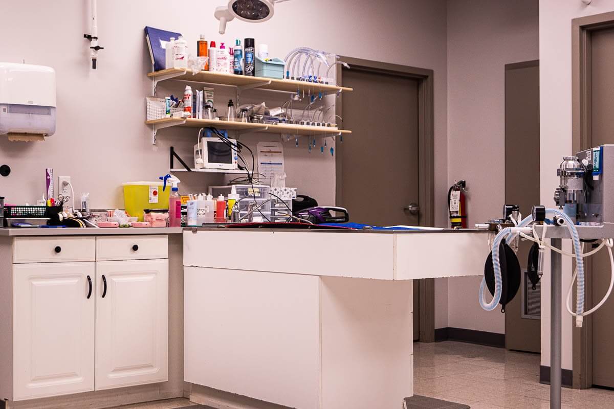 Treatment area